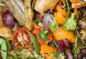 Tips To Identify Rotten Vegetable